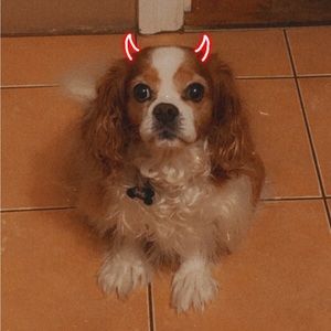 Meet your Posher, Kaitlyn